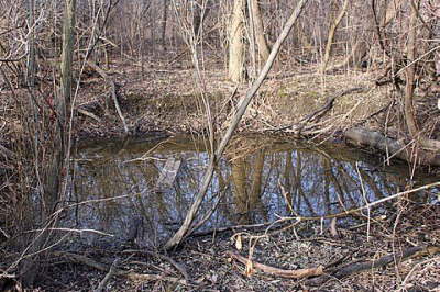 Deep Pond